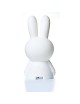LAPIN LUMINEUX MIFTY PM veilleuse